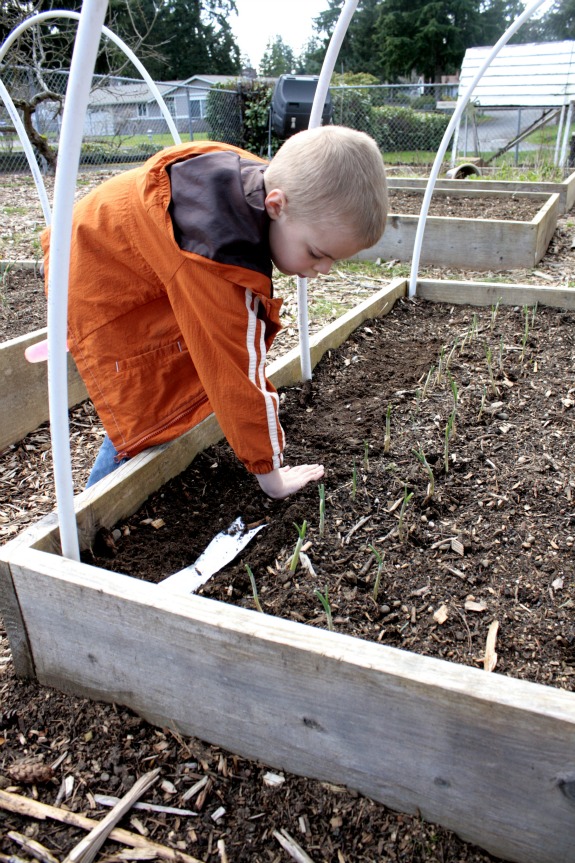 Make Your Own Seed Tape Make Your Own Seed Tape